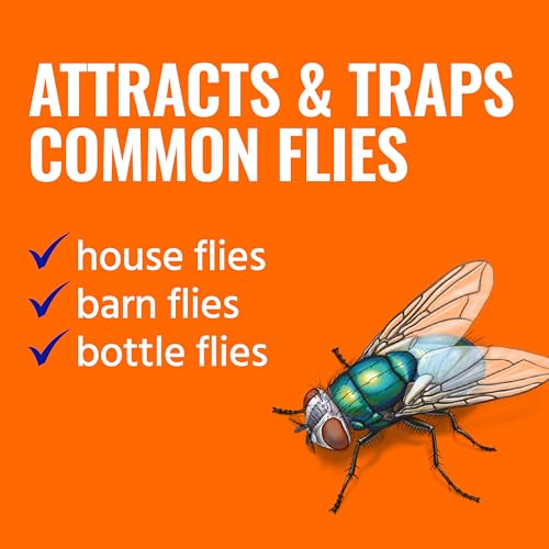 TERRO Fly Magnet Trap, Reusable Poison-Free Outdoor Fly Catcher with Bait - size: 1 Pack