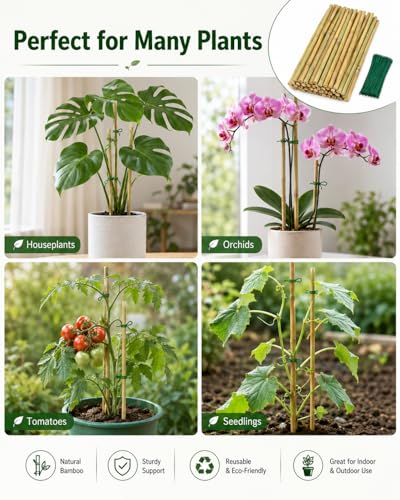 20 Pcs 16 inch Bamboo Garden Stakes with Ties Natural Bamboo Plant Stakes for Tomatoes (20pcs-16inch) - size: 20pcs-16inch