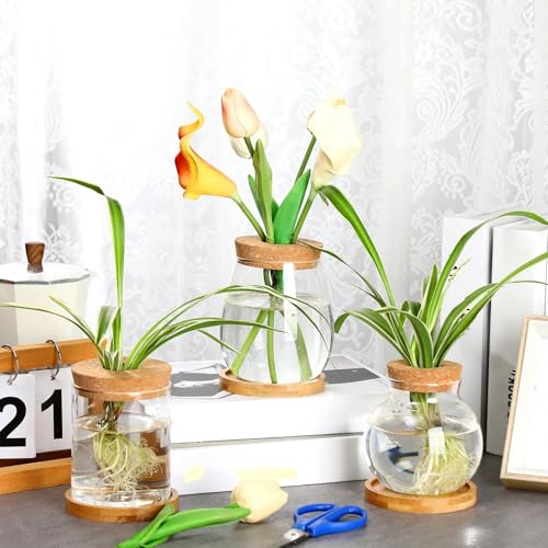 6 Pcs Glass Plant Propagation Station with Wood Lid & Stand, Classic Style - style: Classic