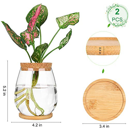 Plant Propagation Station,2 Pcs Glass Vases with Wooden Stand & Lid - size: 4.2" L x 4.2" W x 5.2"H
