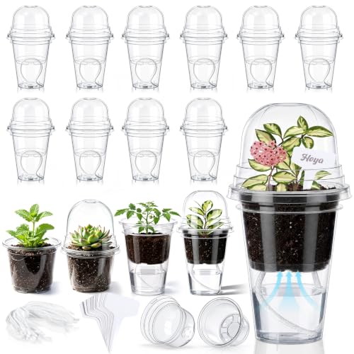 15 Pack 5" Self Watering Propagation Pots Clear, Plain Cup - size: 5"