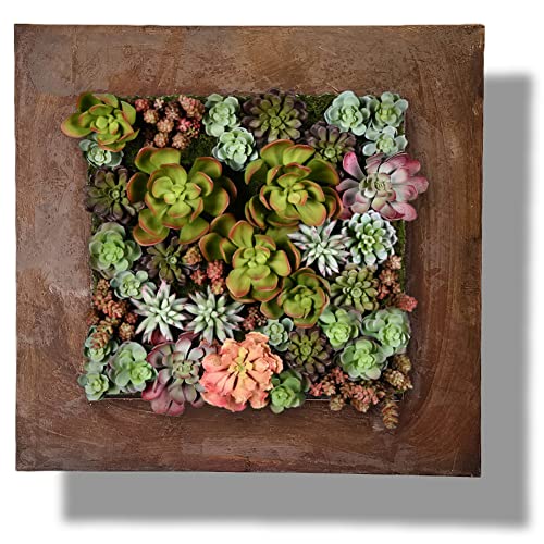 Vandue Modern Home Living Wall Galvanized Steel/Zinc Succulent Planter (Rust Zinc, 16 Pocket)