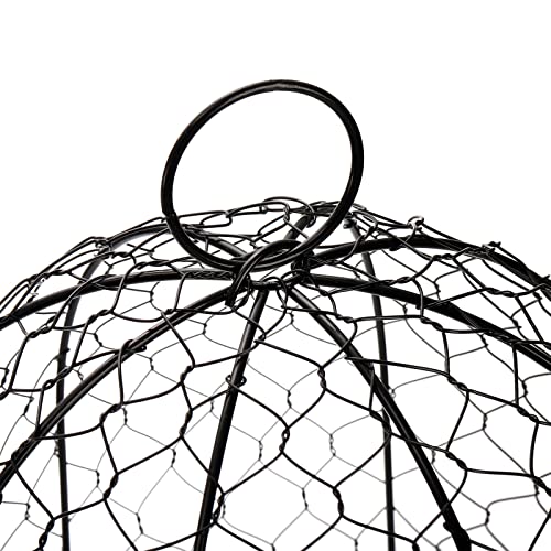 Coloch 5 Pack Garden Chicken Wire Cloche, 16x 13 Inches Black Dome Plant Protector Cover Strong Metal Garden Cloches Protecting Plants and Seedling from Animals