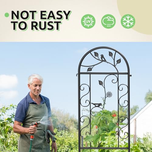 4-Pack 87" x 20" Bird and Daisy Arch Black Metal Garden Trellises - color: 4 Pack 87"- Daisy & Bird Black