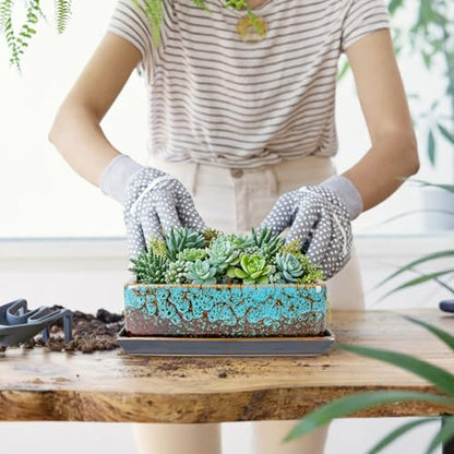 Succulent Pots - Long Rectangle Succulent Planters with Drainage Tray - color: Blue