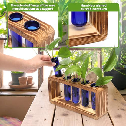 Glass Plant Propagation Station with 5 Test Tubes Colorful Planter Vase - color: Blue