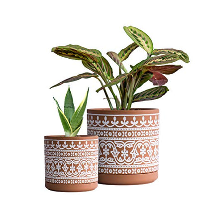 D'vine Dev 2-Pack Terracotta Pots, 4/6 in, Terra/White, 31-958-F-1 - color: Terracotta/White