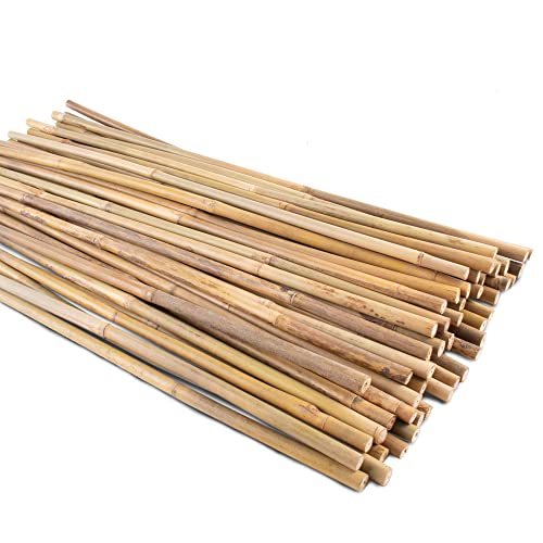 50Pcs Garden Stakes, 0.32”/16 Inch Bamboo Sticks，Natural Plant Stakes for Indoor and Outdoor Plants，Poles for Tomatoes, Beans, Potted Plants - size: 16In,Pack of 50