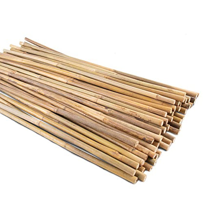 50Pcs Garden Stakes, 0.32”/16 Inch Bamboo Sticks，Natural Plant Stakes for Indoor and Outdoor Plants，Poles for Tomatoes, Beans, Potted Plants - size: 16In,Pack of 50