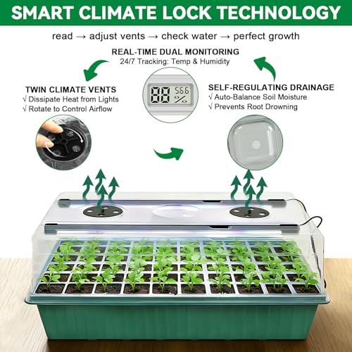 Seed Starter Tray with Grow Light, Seed Starter Kit with Humidity Dome, Seed Starting Trays for Indoor Plant,Seedling Starter Trays for Germination (2 Pack 120Cell Green) - color: 2 Pack 120cell Green