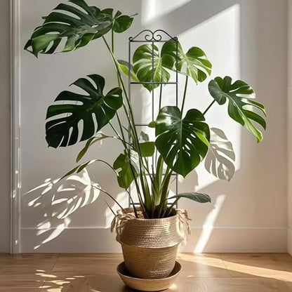 31.8'' Stackable Plant Trellis Indoor, Metal Trellis for Climbing Plants Indoor, House Plant Support with Soft Ties for Monstera Hoya Pothos, 4P - size: 31.8in/4p
