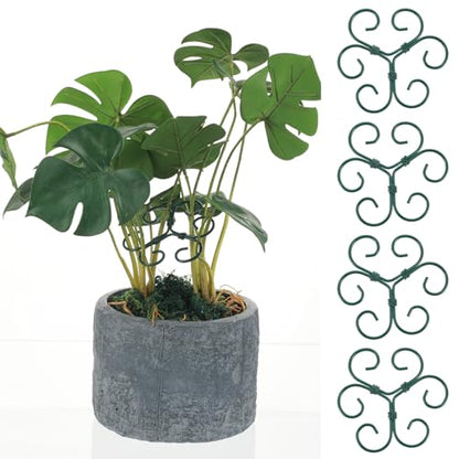 Tyqour 4PCS Plant Stem Support Monstera Support Durable Plant Supports