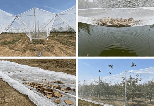 HDPE Diamond Anti-Hail & Anti-Bird Netting,40g/㎡,Tear/UV Resistant & Anti-Aging.Protection for Gardens,Farms,Orchards,Includes Work Gloves,10×12m/32.8×39.4ft - size: 10×12m/32.8×39.4ft