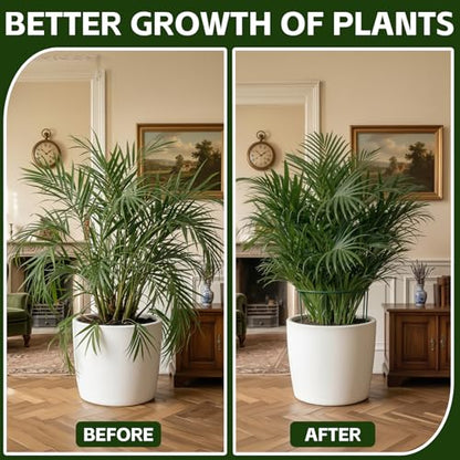 Thealyn 10 Pack Plant Support Stakes, 10" x 16" Peony Cages and Supports - size: 10Pack 10"x16"