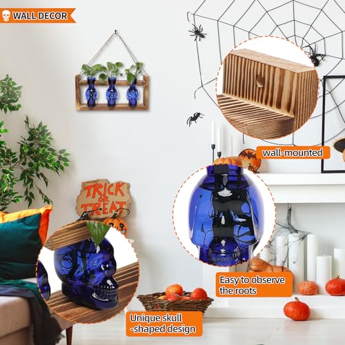Plant Terrarium Propagation Stations Skull Planter Vase Skulls Decor - color: Blue
