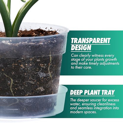 6 Inch Clear Plastic Plant Pot with Drainage Holes, Interlocking & Detachable Tray - Deep Saucer - Durable BPA-Free Plastic, Transparent Design, Raised Base for Airflow, Set of 6, 92-X-A-4 - size: 6" x 4.3"