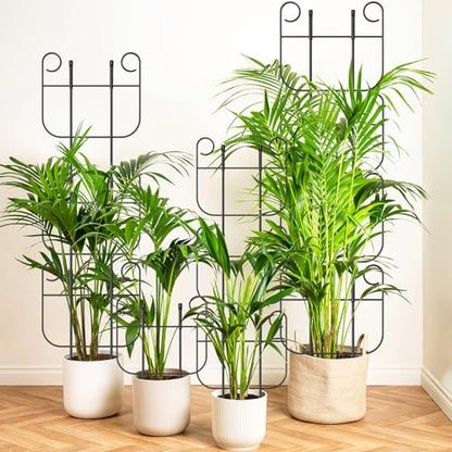 8 Pack Trellis for Climbing Plants Indoor, Expandable Small Metal Trellis for Potted Plants, Flowers Vine Ivy, Sturdy Houseplant Pothos Plant Climber Support - size: 8 Pack-15in(H)x10in(L)