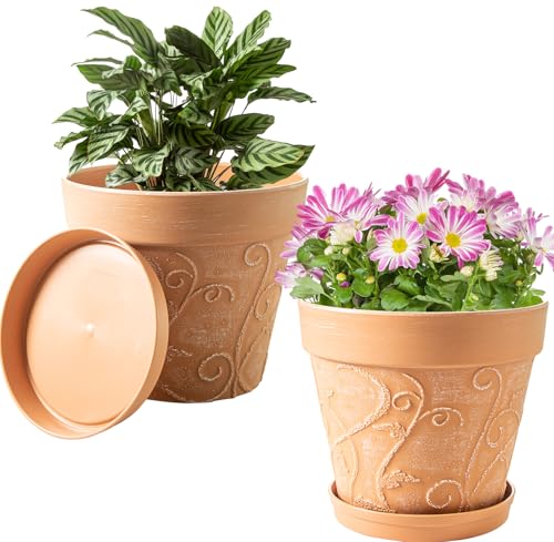 Melphoe Plant Pots Indoor with Drainage & Saucer, 2Pack 10 inch Flower Pots Outdoor Planters for Indoor Plants Garden Home Decor Cactus Succulent, Rigid Plastic (Imitation-Terracotta) Vine-Embossed - color: Terracotta Color, size: 10 inch