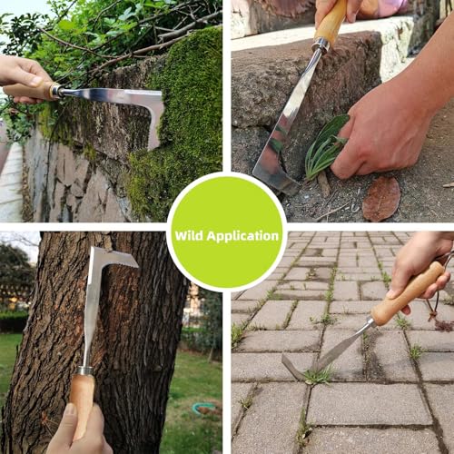 Crack Weeder, Stainless Steel Crevice Weeding Tool, Weeder Tool