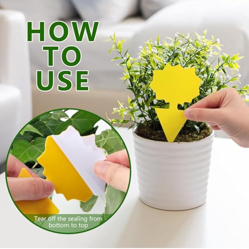 40-Pack Yellow Sticky Fruit Fly Traps for Indoor and Outdoor Plants – Sun-Shaped Fungus Gnat Killer – Non-Toxic, Waterproof, Dual-Sided Adhesive Soil Insert Traps for Potted Plants and Gardens