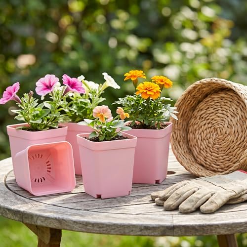 150 PCS 2.8 Inch Square Nursery Plant Pots, Plastic Plant Seedling Pots with Drainage Holes, Pink Plant Seedling Pots for Starting Seedlings or Garden Plant