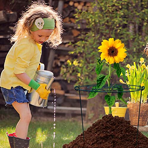 10 Pack 16"x24" Peony Cages Plant Support Stakes Grow Through Grid Grow Through Hoops, Metal Flower Plant Brace Support Ring for Heavy Blossom - size: 16"x24" Pack of 10