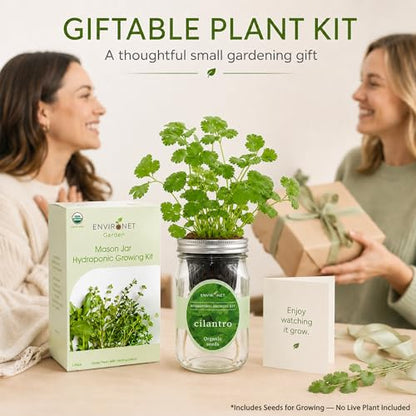 Hydroponic Herb Growing Kit, Self-Watering Mason Jar Window Herb Garden Starter Kit Indoor, Grow Your Own Herbs from Organic Seeds (Cilantro) - color: Cilantro