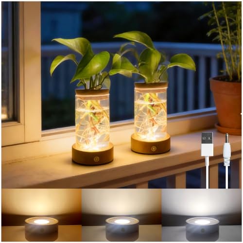 Plant Propagation Station with Three Color & Stepless Dimming LED Light - size: 2 Cylindrical