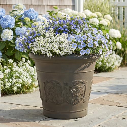Sunnydaze Arabella 16'' Plastic Planter Pot for Plants, Sable - color: Sable, size: 16 in