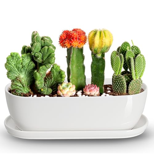 E-liu14 Inch Oval Ceramic Planter Pot with Drainage Hole Saucers - size: 14 inch Single