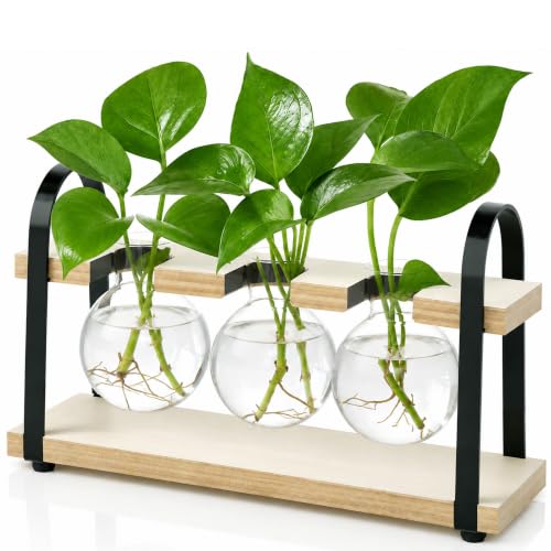 3-Bulb Plant Propagation Station, Glass Vase Terrarium, Retro White - color: White