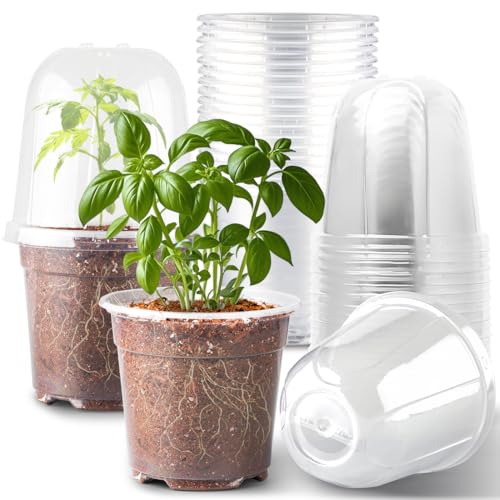RooTrimmer 6 Inch Clear Nursery Pots with Humidity Dome, 15 Pack Durable Seed Starting Pot with Drainage Holes, Transparent Plastic Plant Seedling Pots for Indoor Gardening Plants - color: Clear Pots With Domes-15p, size: 6Inch
