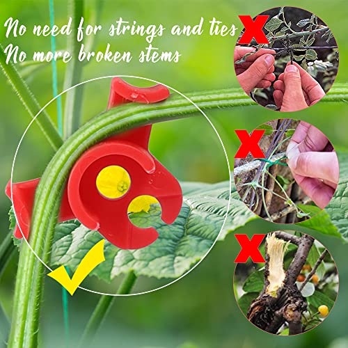 LucyPhy 60 Pack Plant Bender Angle Adjustable Plant Training Clips Low Stress Training Clips 90 Degrees Plant Stem(Circle Style,Red) - color: Red, size: 60Pack