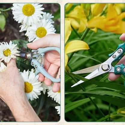 Modern Sprout Pruning Shears - Garden Snips - Herb Scissors - Ocean 1-Pack - color: Ocean