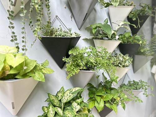 LaLaGreen Wall Planter for Indoor (12in, 4 Pack) Large Self Watering Plants - color: Black X 4 Pack