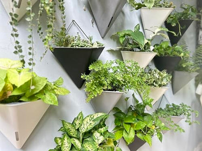 LaLaGreen Wall Planter for Indoor (12in, 4 Pack) Large Self Watering Plants - color: Black X 4 Pack