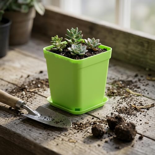 HOIGON 100 Pack 3 Inch Green Square Nursery Pot, Durable Thickened Plastic Nursery Pots with Drain Holes and Saucers, Small Square Planting Containers for Flower Tomatoes Basil - color: Green