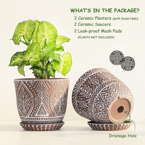 Gepege Ceramic Plant Pots, 6 Inch Indoor Planters with Drainage & Saucers - color: Brown-b, size: 6 Inch - Set of 2