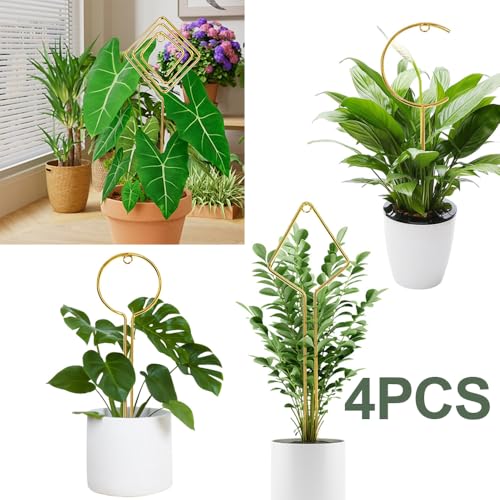 Indoor Plant Trellis 4 Pcs Small Hoop Mini Climbing Plant Support