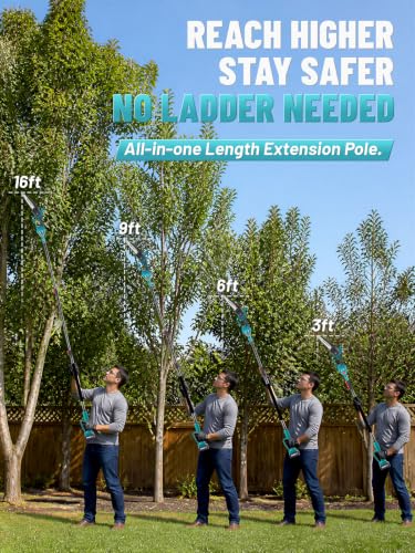 2-in-1 Electric Pole Saw & 8-Inch Mini Chainsaw, 2x4.0Ah Batteries - color: Blue, size: 8inch with LED Light