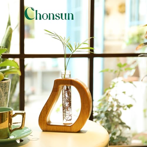 Glass Test Tube Plant Propagation Terrarium Station - size: 5.3*5.6IN