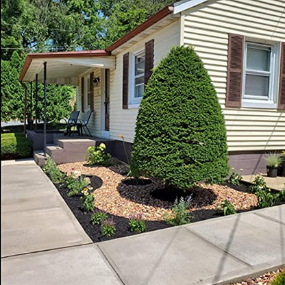 Garden Edging, 40FT Landscape Edging with 40 Landscape Spikes, Pever Edging, No Dig Garden Edging Lawn Border, Border Edging for Landscaping