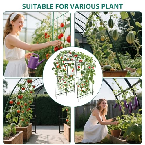 Metal Garden Arch Trellis, 7.6Ft Black for Raised Beds, Plant Support for Cucumbers & Climbing Vegetables with 9 Horizontal Pipe - size: 7.6x6x3.8 Ft - 9