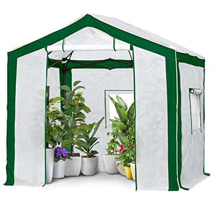 EAGLE PEAK 8x8 Walk in Pop Up Greenhouse, Green/White - color: Green/White, size: 8x8