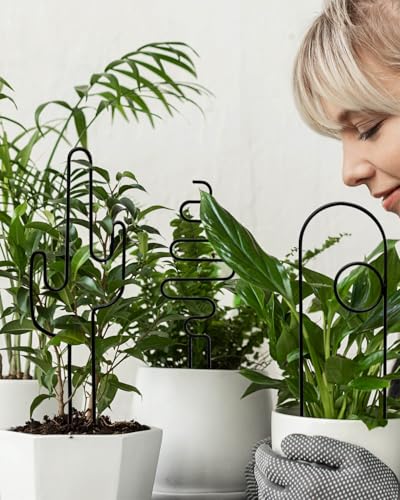 Black Small Plant Trellis for Climbing Plants Indoor, 13.8 Inch Trellis