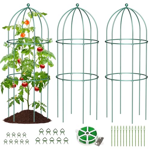 SUNYRISY 3 Pack Metal Plant Support Cage for Tomato Peony Cucumber - size: 31.5 x 15.7 in