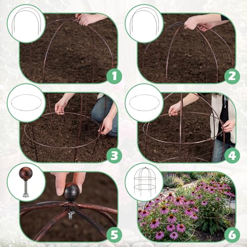 2 Pcs 36 × 28" Bronze Bird Cage Peony Climbing Plant Support Heavy Duty Metal Cage Large Plant Support Outdoor Garden Trellis for Peonies, Baptisia, Sedum & Other Perennials - size: 36 x 28"