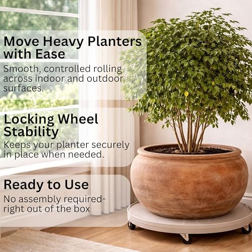 DeVaultEnterprises 23.5" Rolling Plant Caddy with Wheels, Heavy Duty Plant Pot Stand with Casters & Locking Wheel, Indoor Outdoor Planter Base for Pots, Round Plant Tray, Espresso, Supports 500 lbs
