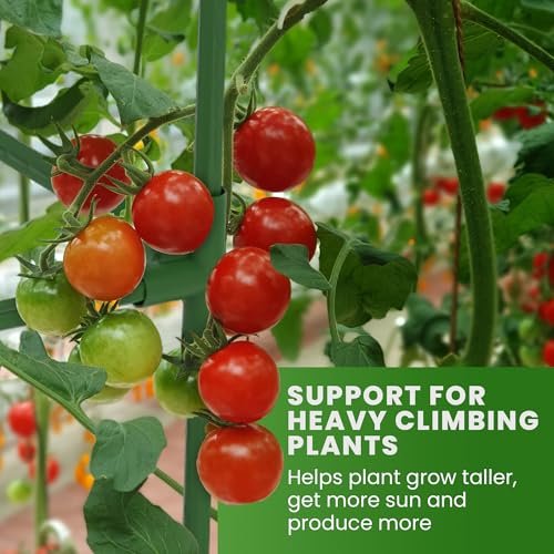 1 Pack 41" Square Tomato Cages for Garden - Large Tomato Trellis Stakes - size: 1 Pack, 41 Inches