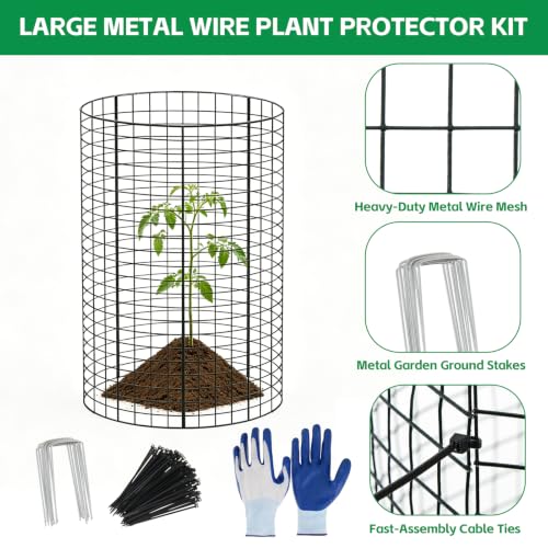 3 Pack Large Wire Plant Protector from Animals 18"x12" Metal Plant Cage - size: 18"x12"
